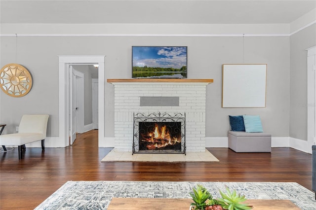 living room with a fireplace and dark hardwood / wood-style floors