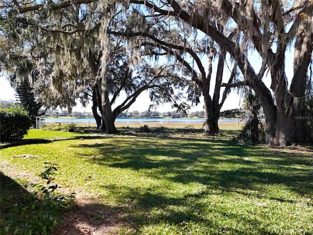 view of yard featuring a water view