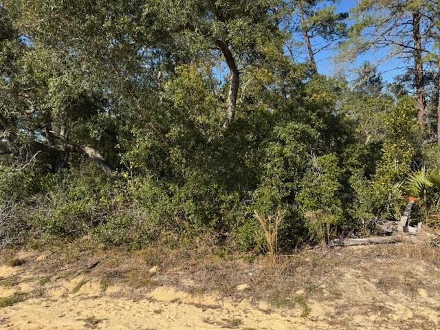 2567 SW 176th Loop, Ocala FL, 34473 land for sale