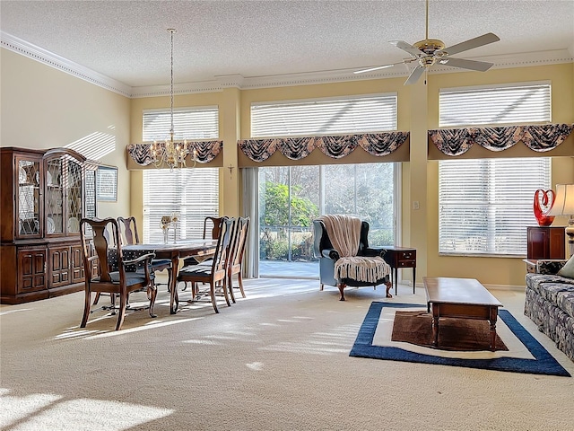 dining area featuring plenty of natural light, a textured ceiling, and light carpet