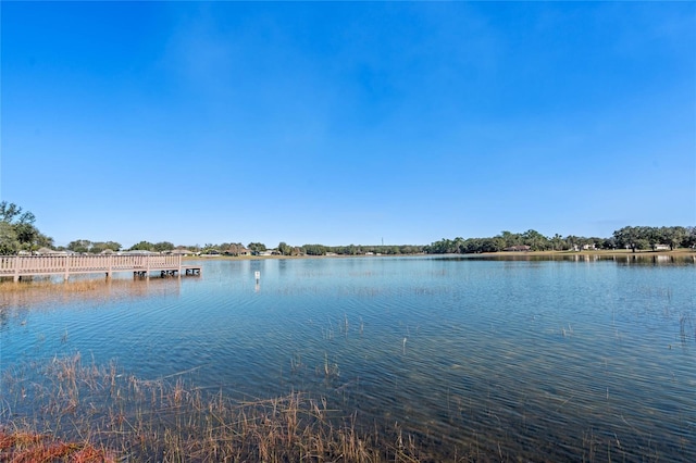 property view of water