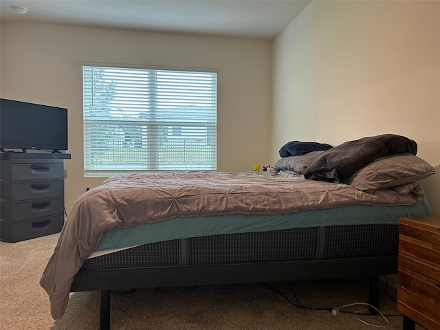 carpeted bedroom featuring multiple windows