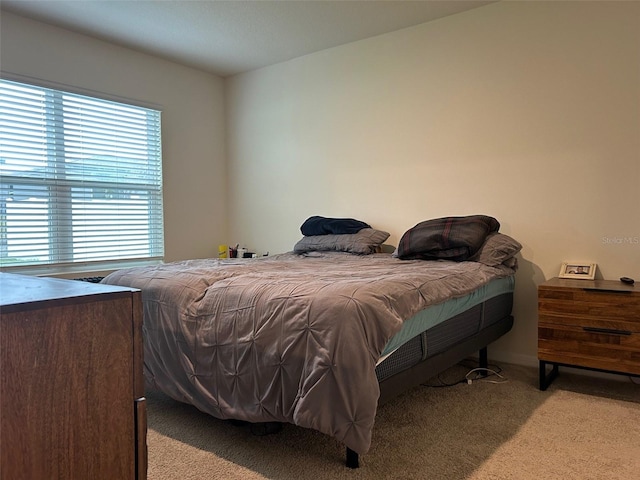 carpeted bedroom featuring multiple windows