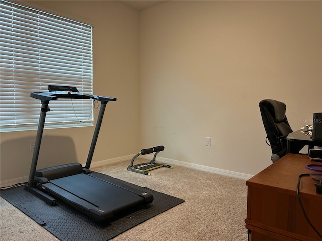 workout room featuring carpet flooring