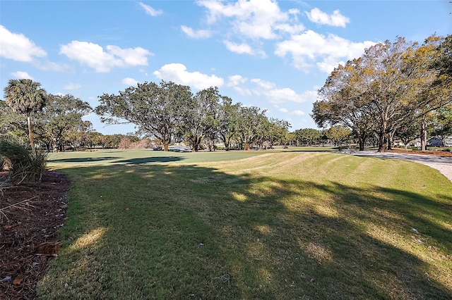 view of home's community with a yard