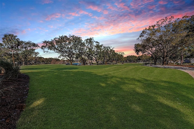 view of yard at dusk