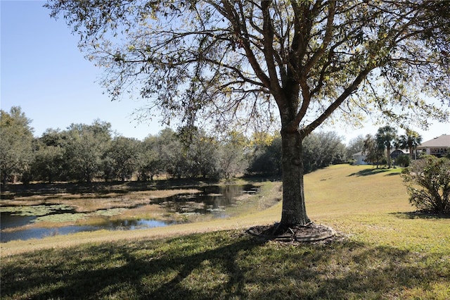 view of yard with a water view