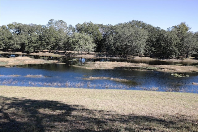 view of water feature