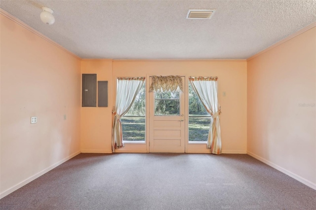 carpeted empty room featuring a textured ceiling, electric panel, and ornamental molding