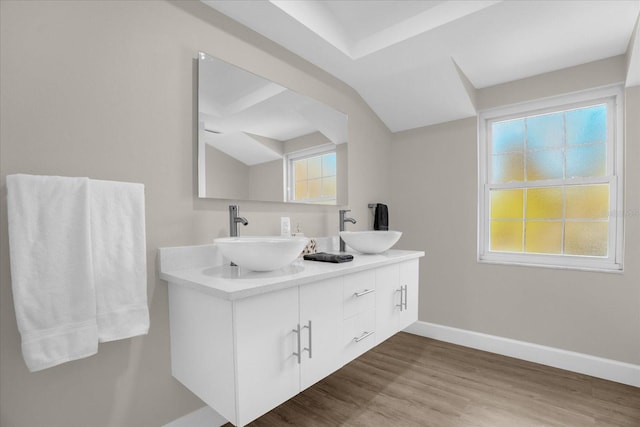 bathroom featuring hardwood / wood-style flooring and vanity