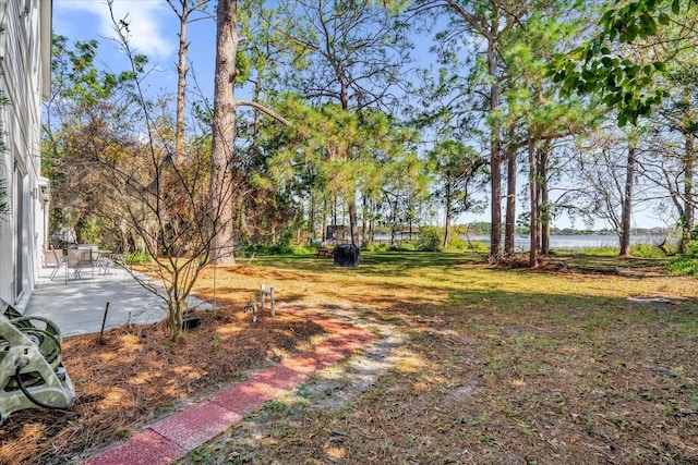 view of yard featuring a patio area