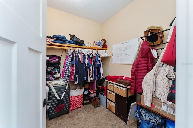 spacious closet featuring carpet flooring