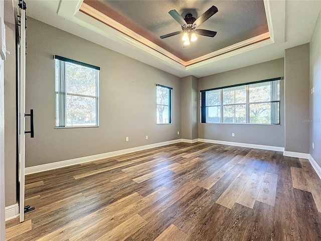 empty room with hardwood / wood-style flooring and a raised ceiling