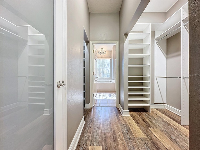 walk in closet with hardwood / wood-style floors