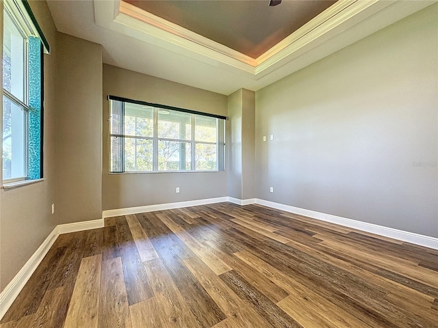 spare room with hardwood / wood-style flooring and a tray ceiling