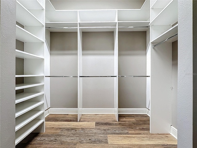 walk in closet with hardwood / wood-style floors