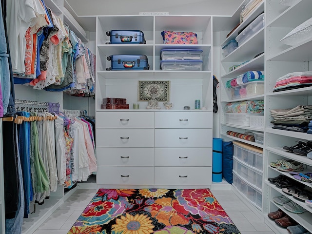 view of spacious closet