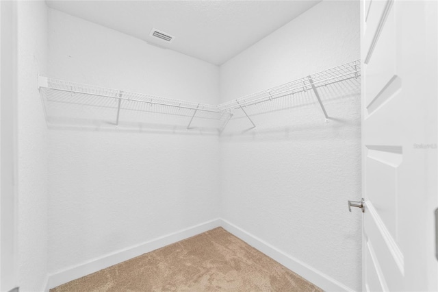 spacious closet featuring carpet flooring