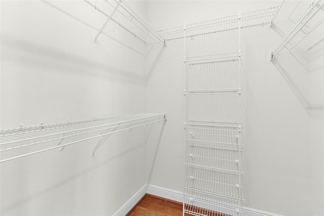 spacious closet featuring wood-type flooring