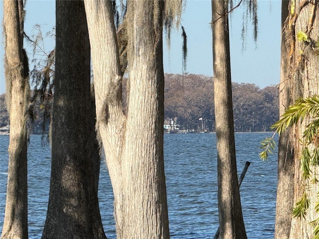 view of water feature