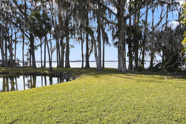 view of yard with a water view