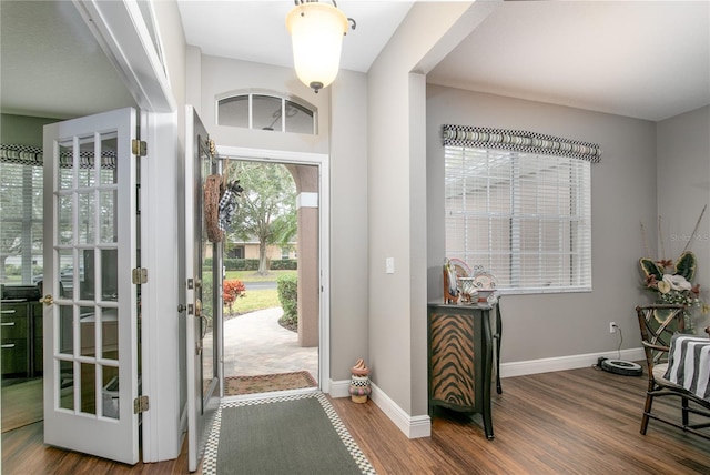 foyer entrance featuring a healthy amount of sunlight and wood-type flooring