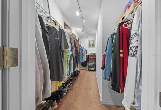 spacious closet with carpet flooring