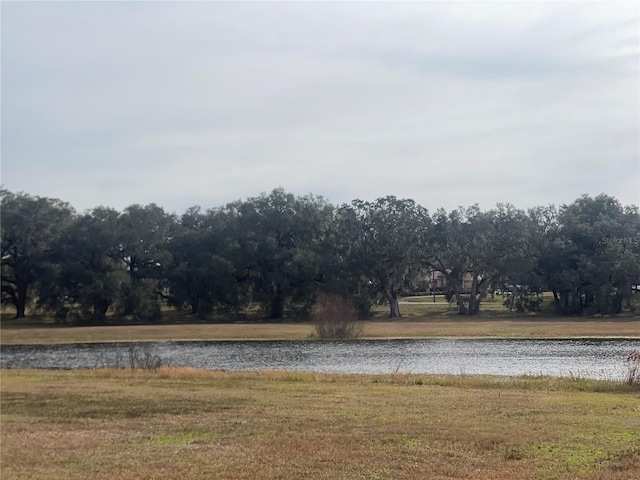 view of water feature