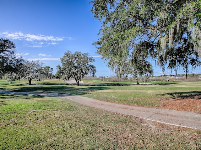 view of community with a yard