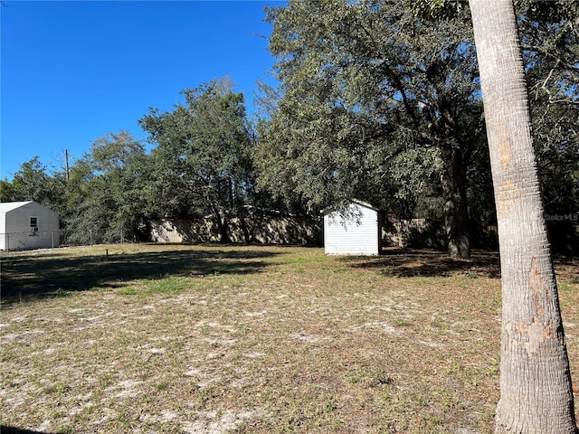 view of yard with a shed