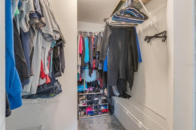 spacious closet featuring carpet