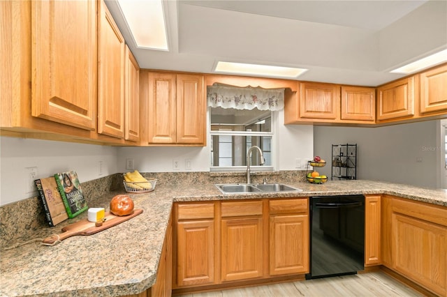 kitchen with dishwasher, light wood-type flooring, and a sink