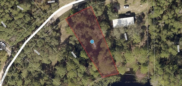 Pine Valley Dr, Paisley FL, 32767 land for sale