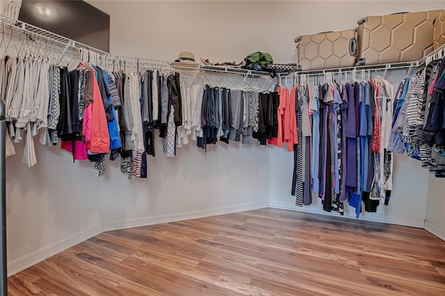 spacious closet with hardwood / wood-style flooring