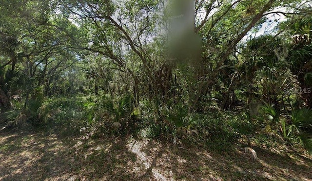 3407 Audette St, Port Charlotte, FL 33948 - photo 8