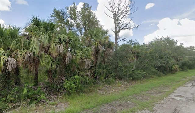 18142 Garth Ave, Port Charlotte FL, 33948 land for sale