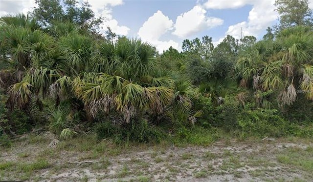 18142 Garth Ave, Port Charlotte, FL 33948 - photo 2