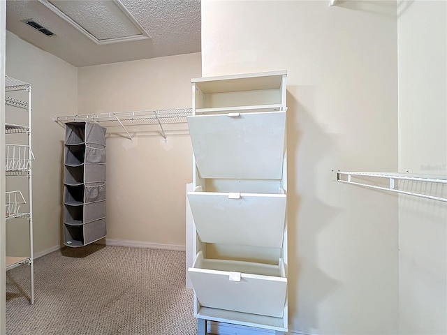 walk in closet featuring carpet floors