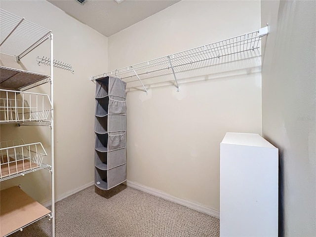 walk in closet featuring carpet floors