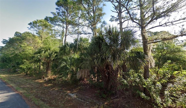 1516 Chaffin Ln, Port Charlotte FL, 33953 land for sale