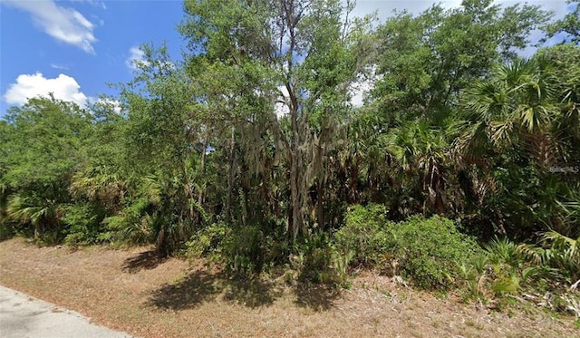 3470 Jewel St, Port Charlotte, FL 33948 - photo 1
