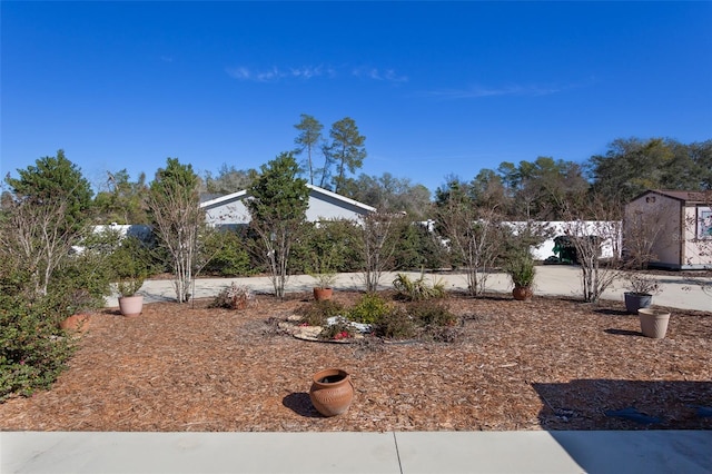 view of yard with a storage unit