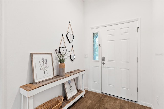 entryway featuring dark hardwood / wood-style flooring