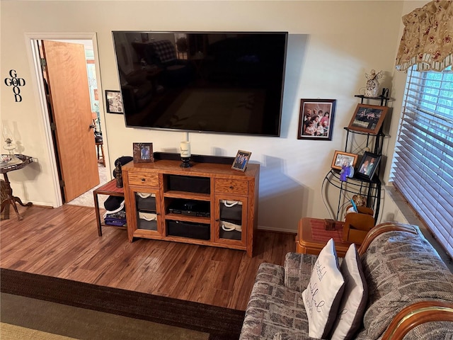 living room featuring hardwood / wood-style floors