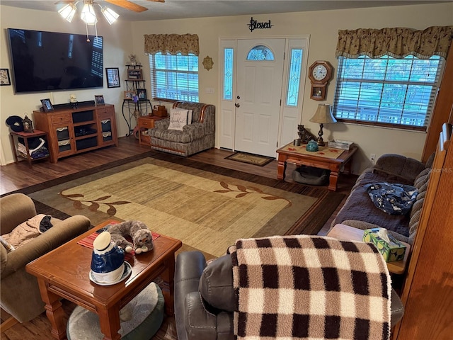 living room with ceiling fan and hardwood / wood-style flooring