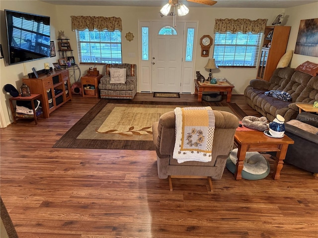 living room with ceiling fan and hardwood / wood-style flooring