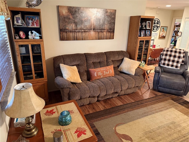 living room with wood-type flooring