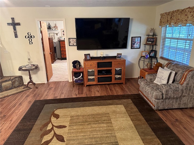 living room featuring dark wood-type flooring