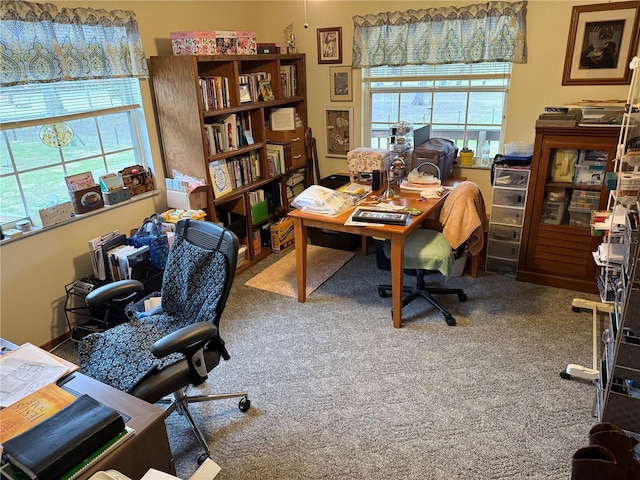 office featuring carpet floors