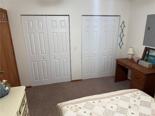 carpeted bedroom with electric panel and two closets